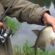 Feeder equipment for beginners - we catch bream in a fast current